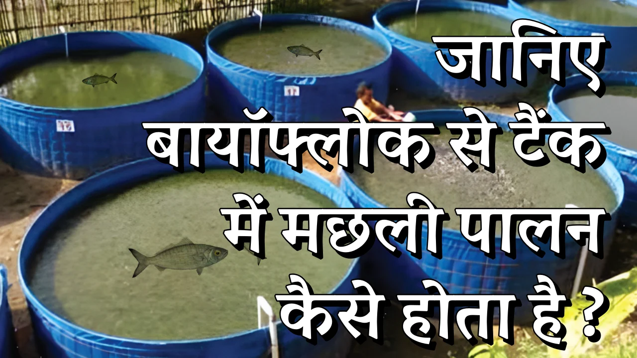 Biofloc Fish Farming in Hindi
