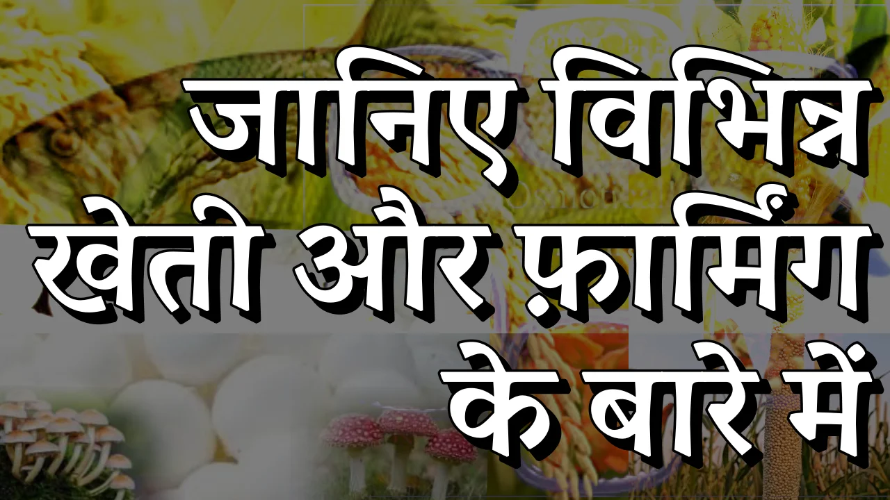 Different Types of Farming or Agriculture in Hindi